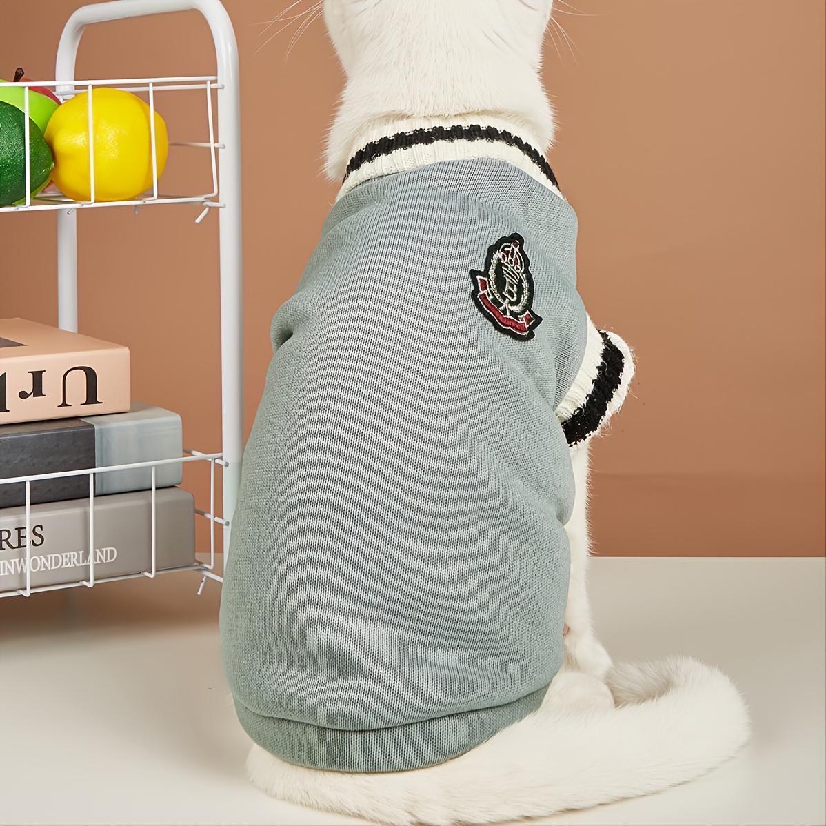 Manténgase Con Estilo Y Acogedor Este Invierno: Ropa Para Mascotas Estilo  Universitario Para Perros Y Gatos - Temu Spain