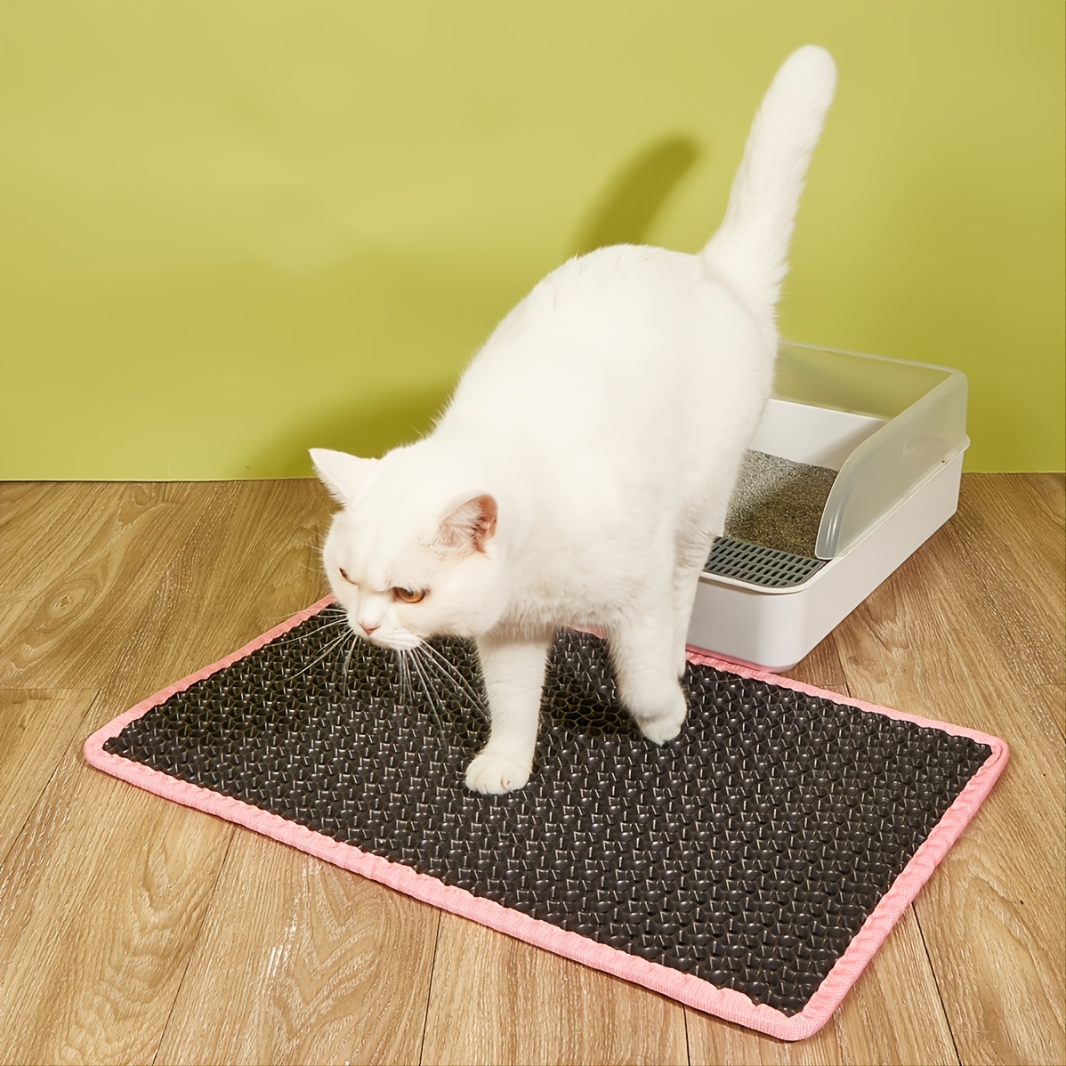 Double Layer Cat Litter Mat - Traps Litter And Prevents Tracking - Easy To  Clean And Durable - Temu