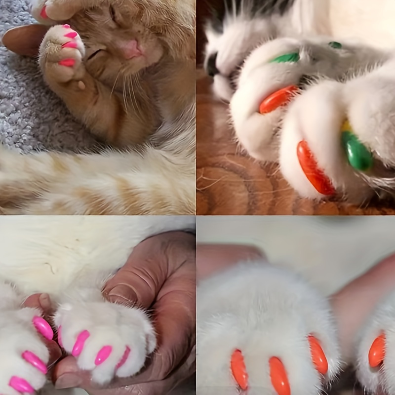 Cat Nail Cat Claw Covers With Glue And Applicators - Temu