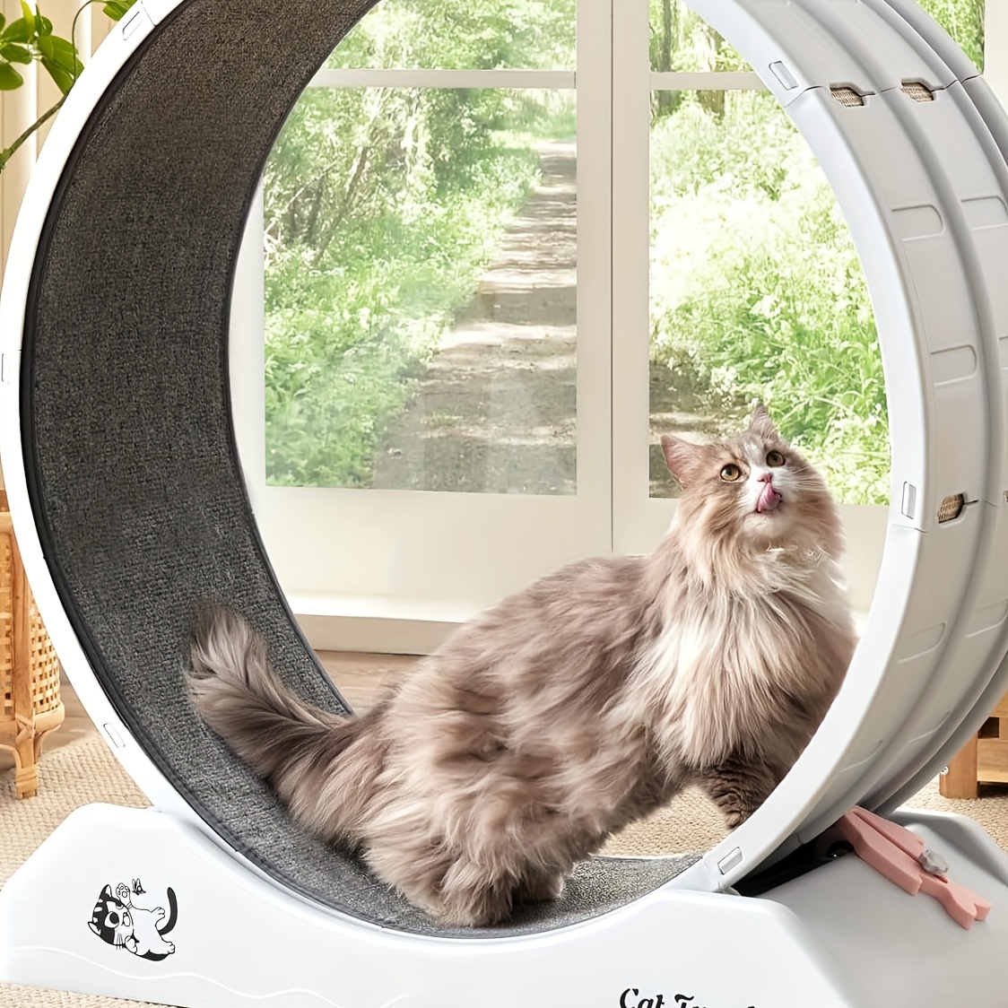 

Cat Treadmill - Non-electric, Plastic Noiseless Carpet For