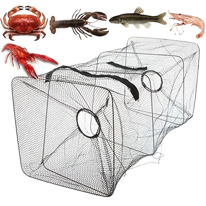 Collapsible Fishing Bait Trap Catch Crabs Minnows Crawfish - Temu