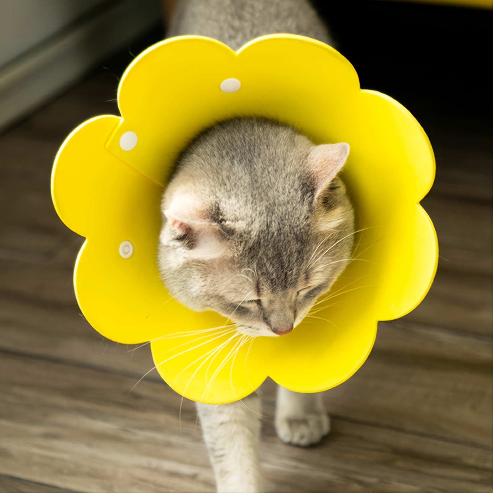 Flower cone best sale for dogs