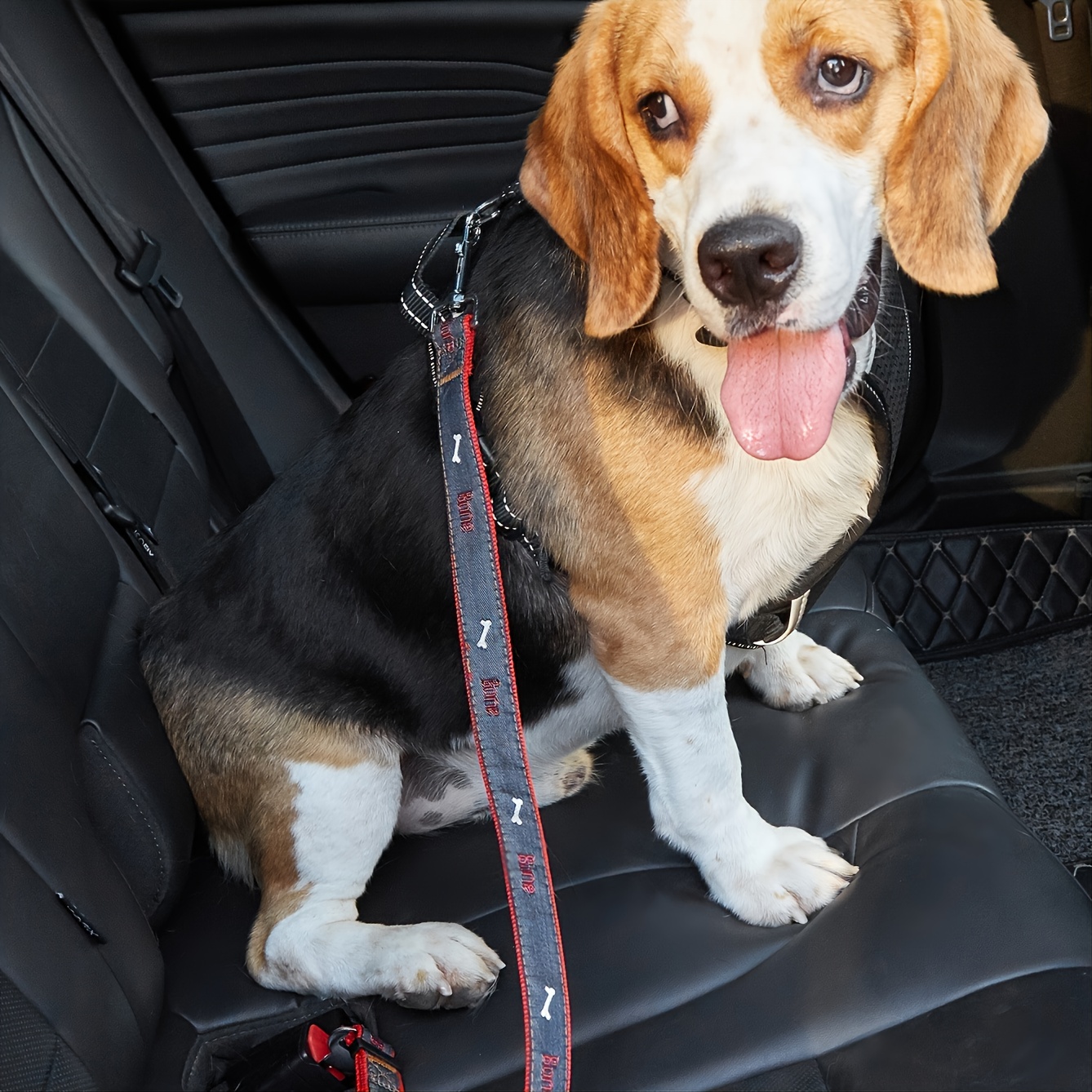 Cinturón De Seguridad Para Mascotas En El Coche Arnés - Temu