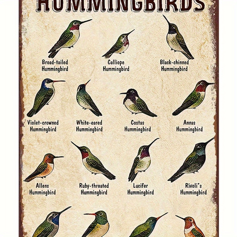 

Types Of Hummingbirds Retro Metal Tin Sign, Hummingbird Metal Sign, Gift For , Hummingbirds Vintage Tin Sign Funny Wall Art Interior Decoration Metal Poster For Home Bar Cafe