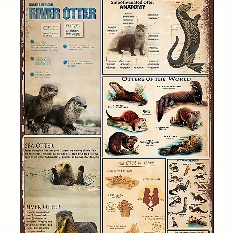 Otter Knowledge North American River Otter Anatomy Of Otter Funny Tin Sign  Vintage Metal Tin Sign