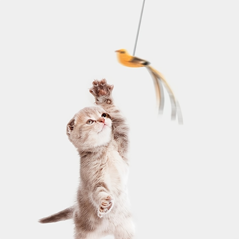 cat string door toy