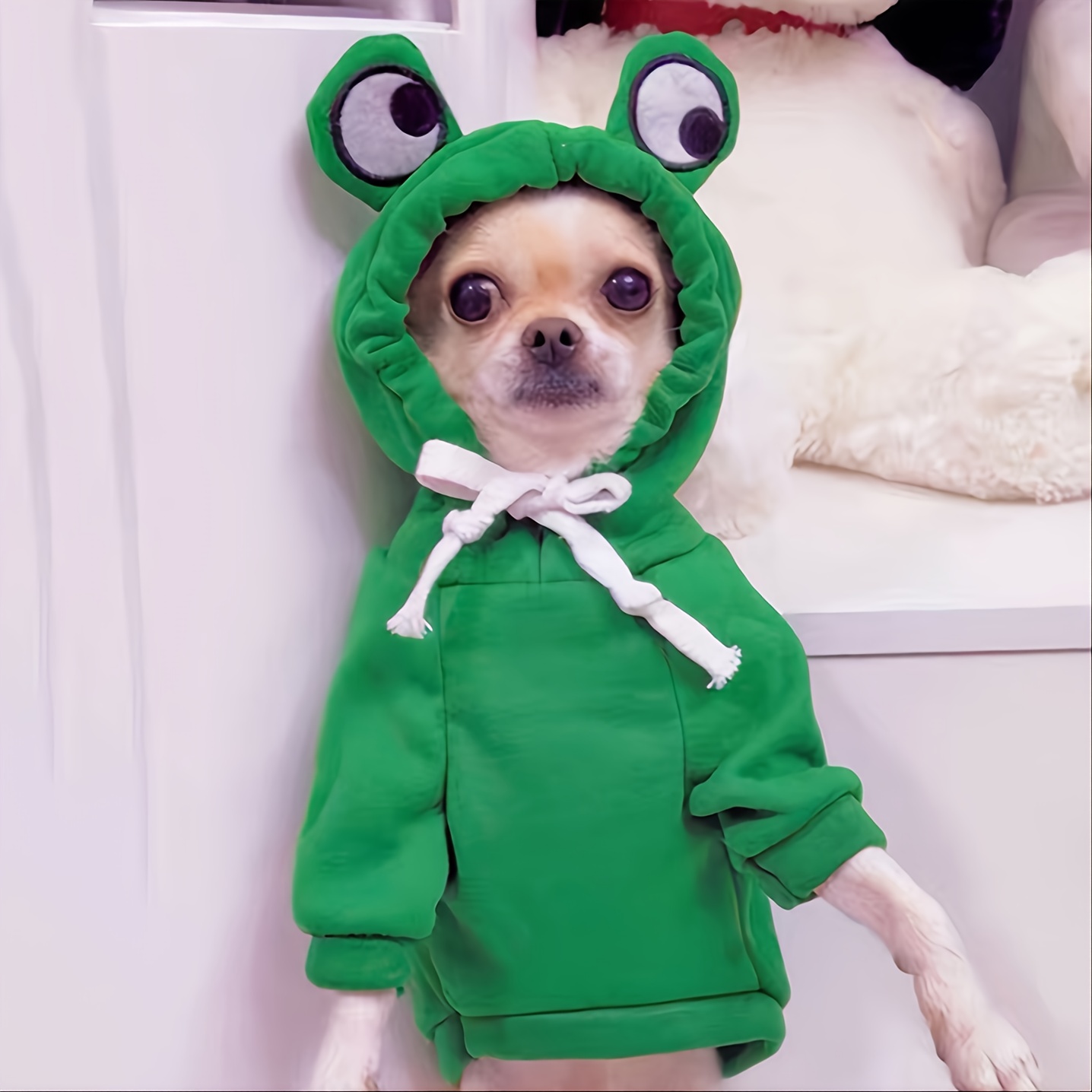 Söt Frog Pet-tröja För Små Och Medelstora Hundar - Grön Hundhuvtröja Med Rolig Design