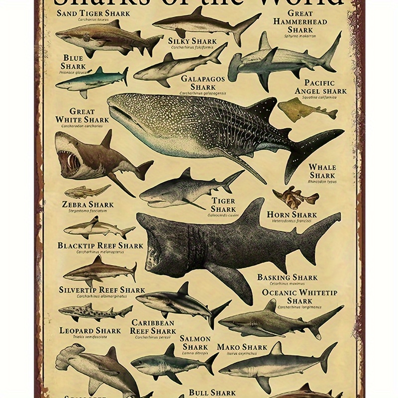 

Shark Knowledge Metal Tin Sign, Sharks Of The World Retro Poster School Education Farm Living Room Bathroom Kitchen Home Art Wall Decoration Gift, Metal Poster For Home