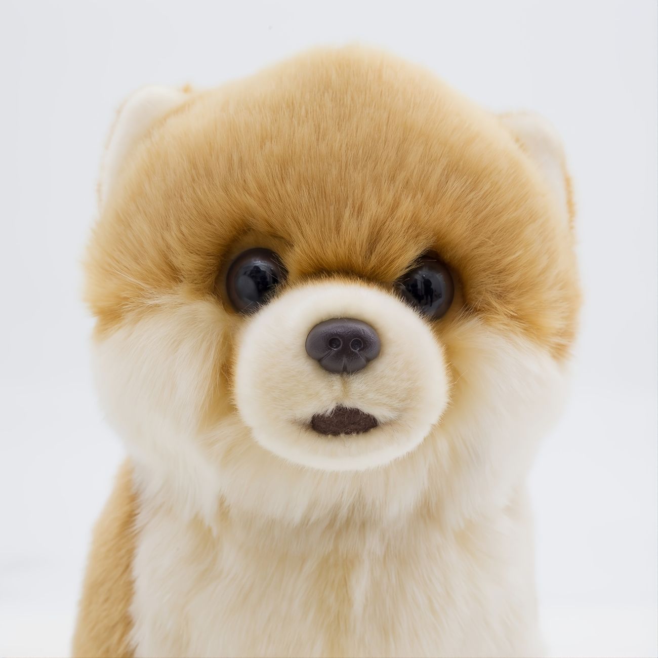 12 Inch Pomeranian Stuffed Animal Dog Realistic Puppy Plush Toys Cute Pet  Gift With Box For Kids - Toys & Games - Temu
