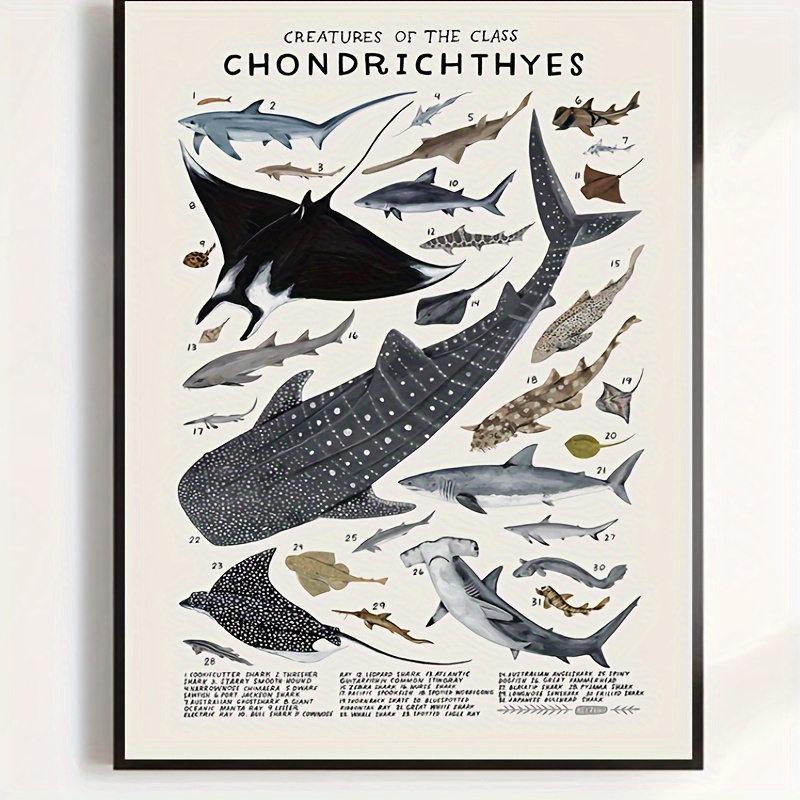 

1pc Unframed Canvas Poster, Modern Art, Chondrichthyes Sharks, Skates, Rays Poster, Ideal Gift For Bedroom Living Room Corridor, Wall Art, Wall Decor, Winter Decor, Room Decoration