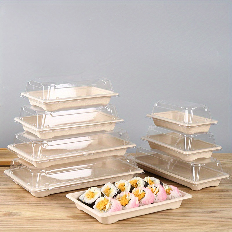 Takeout to Go Rectangle Sushi Food Packaging Box Disposable Plastic  Container Tray with Lid - China Togo Sushi Box and Japanese Food Packaging  price