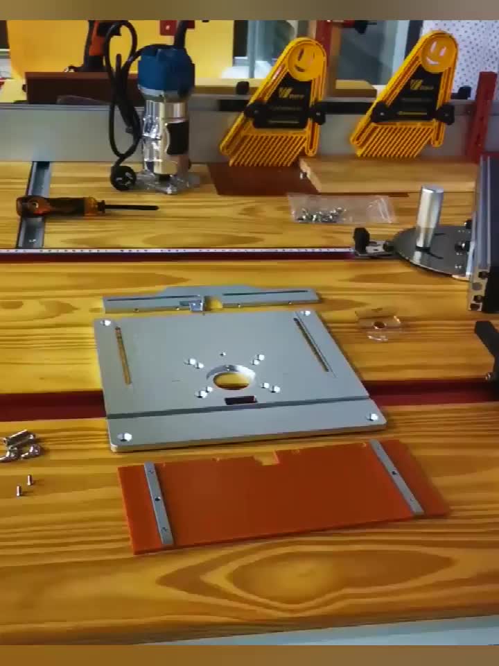 AIDUCHO Table de toupie en aluminium plaque d'insertion fraisage du bois  électrique planche à rabat