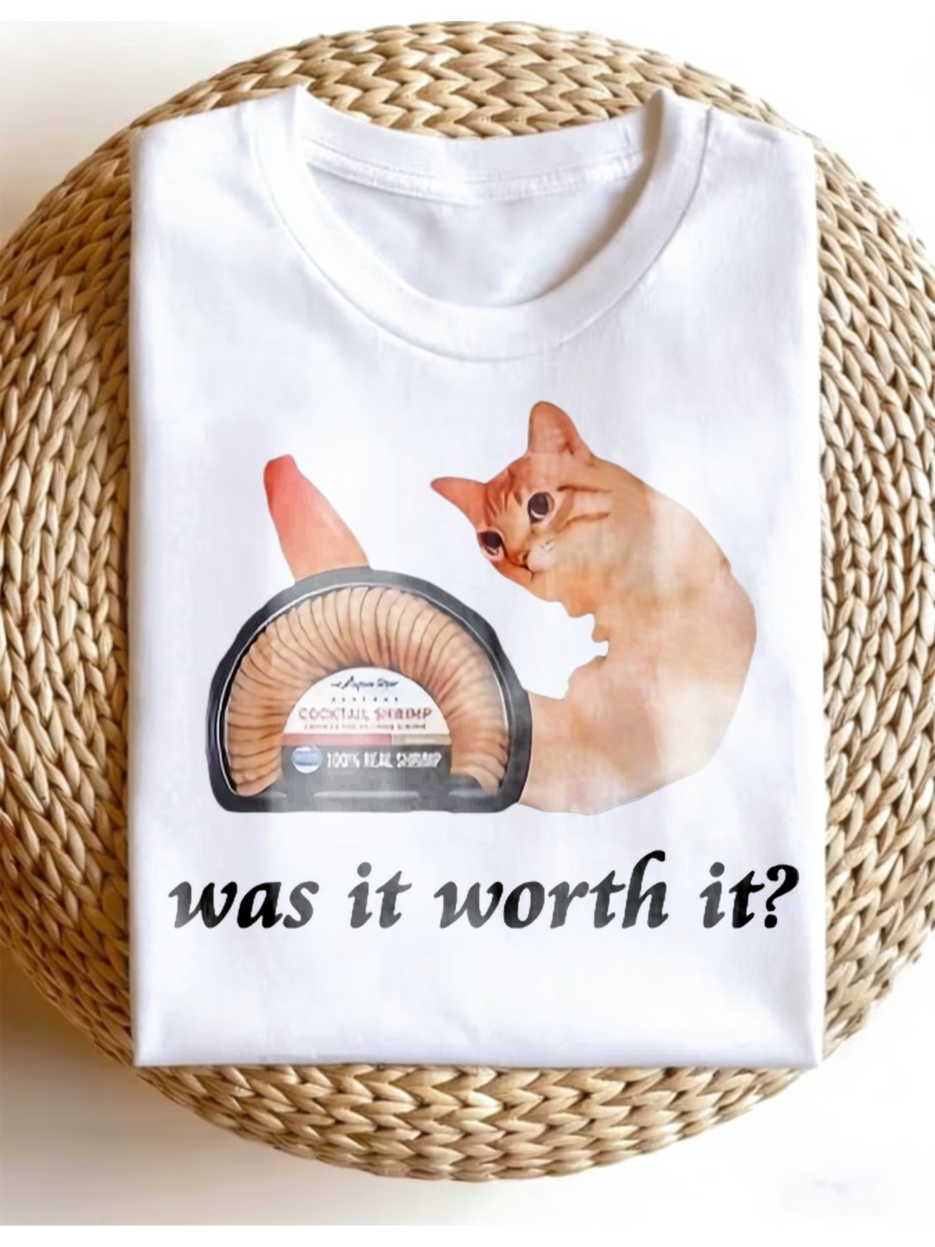 meme cat sold on Temu United States