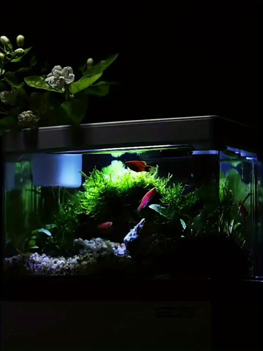 Mini Fish Tank Led Atmosphere Light Mini Small Aquarium Kit - Temu