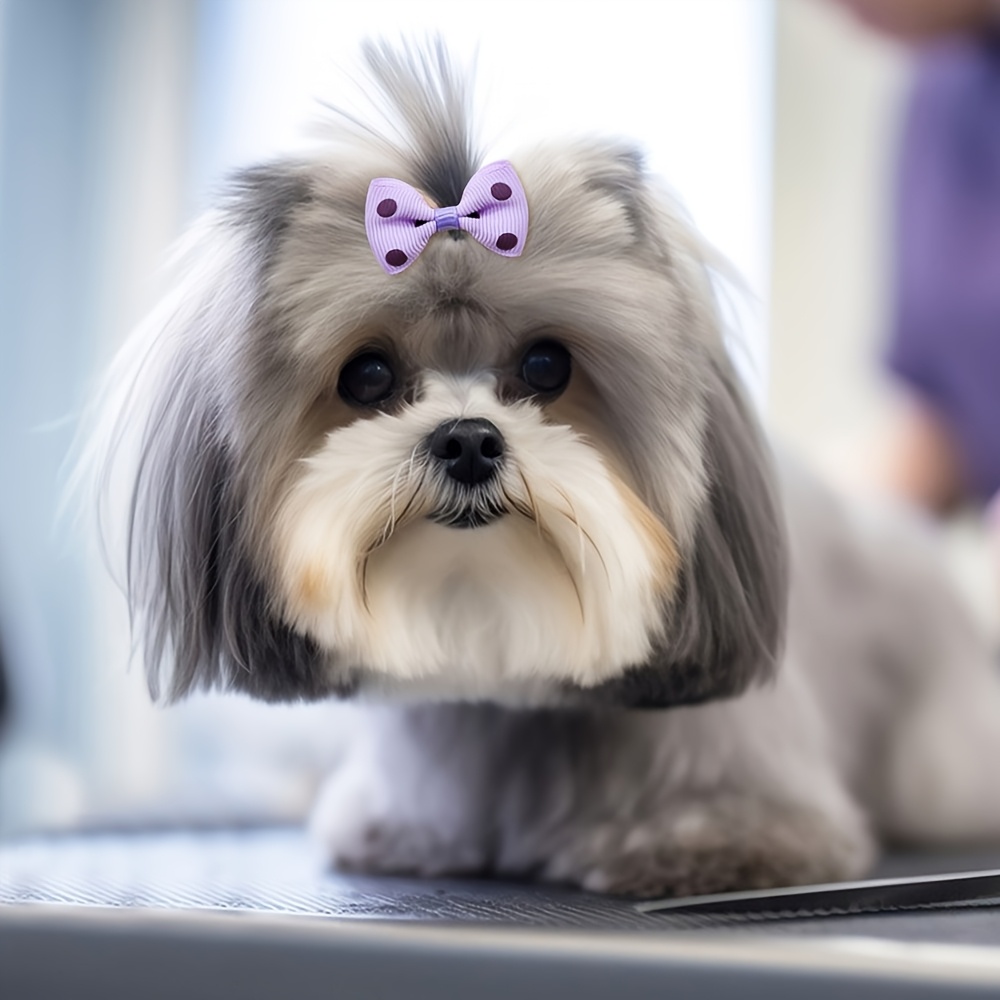 random 20pcs   handmade solid color pet dog bows hair additions for dogs cute cat bowknots pet supplies Product details 6