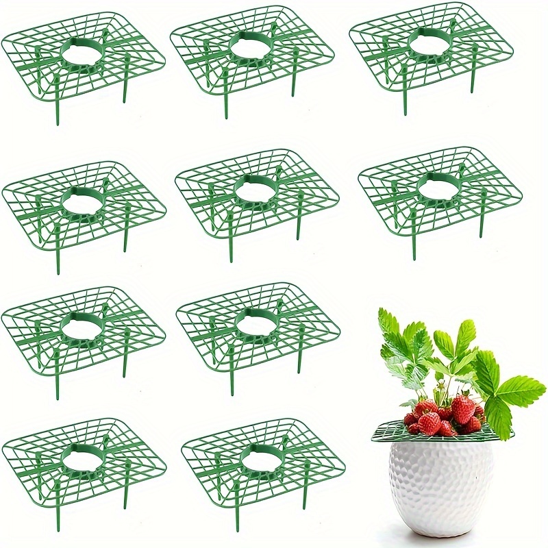 

10 Pack Plastic Strawberry Supports - Fruit Elevated, Clean & Healthy, Garden Strawberry , Breathable & Anti-rot, No Electricity Needed