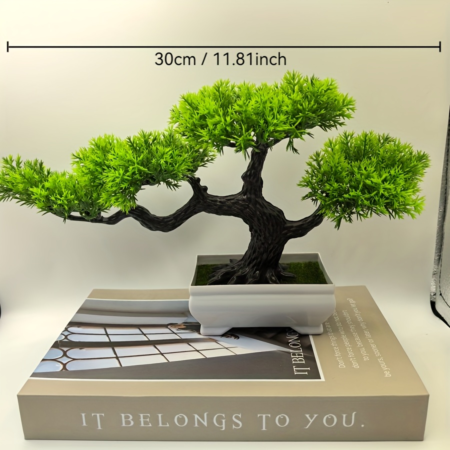 bonsai sold on Temu New Zealand