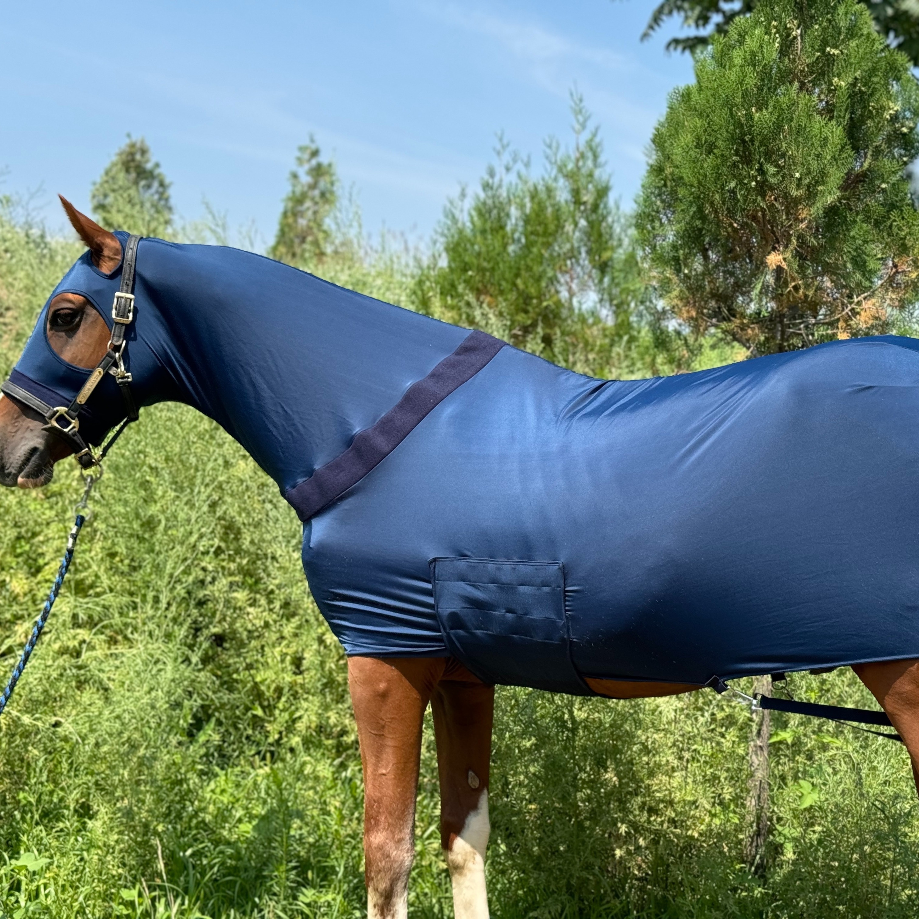 

Nylon Full Body Horse Sheet With Integrated Neck Cover, Elastic Lycra Equestrian Blanket, Large Breed Fit