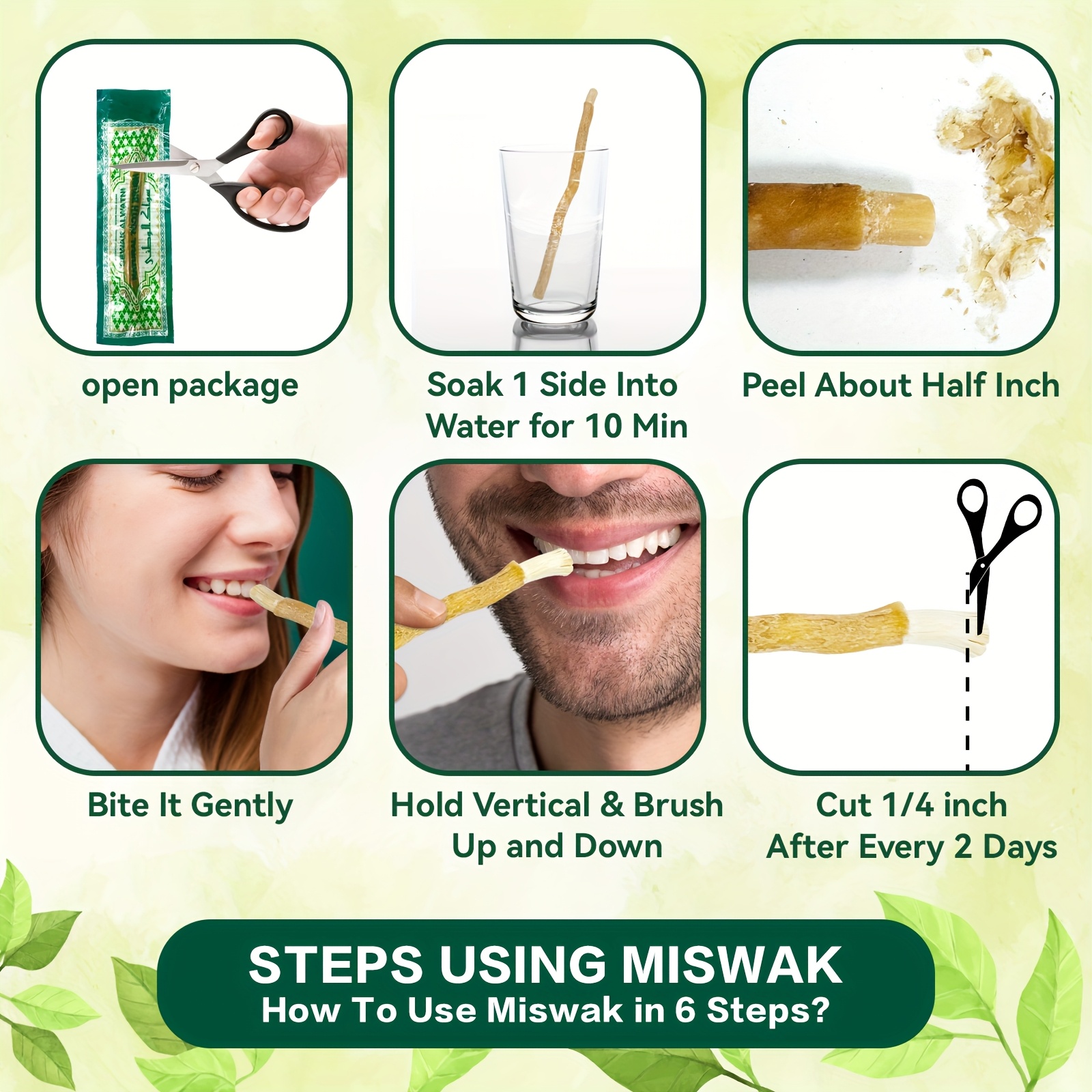Miswak Sticks for Teeth with Holder