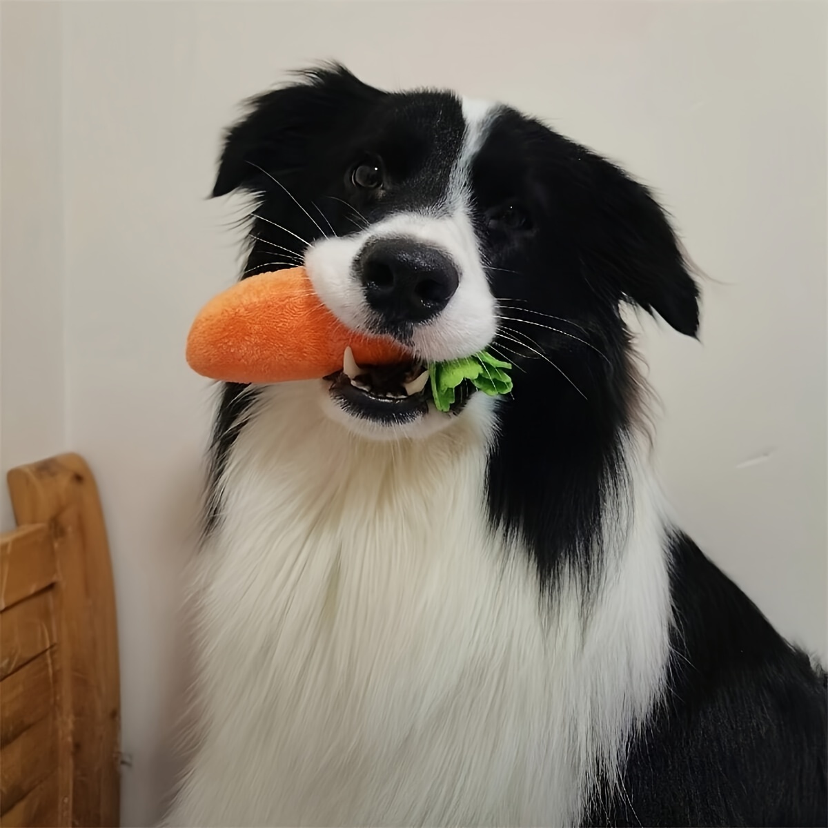 

1pair/2pcs, Dog Toy Plush Carrot, Cat Toy Plush Carrot, Pet Toy Carrot, Soft And Chewy (shipping Is 2 Carrots, Without Base)