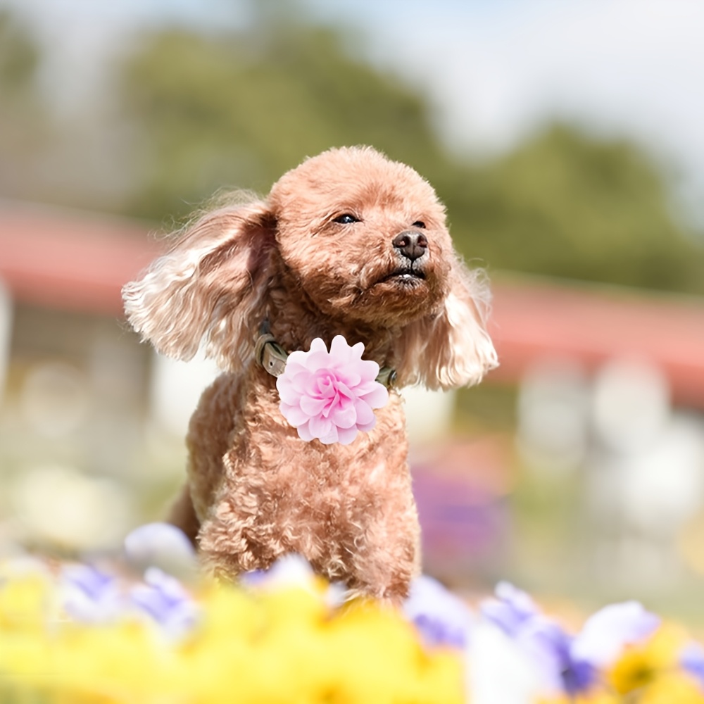 10pcs Flower Dog Collars with Removable Bow Ties