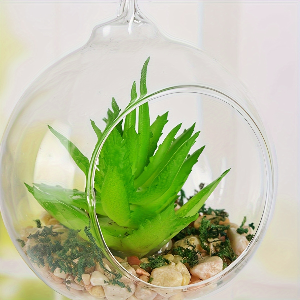 1pc Micro Landscape Hanging Ball Ornament Succulent Plant Hydroponic Vase Transparent Plastic Round Ball Vase