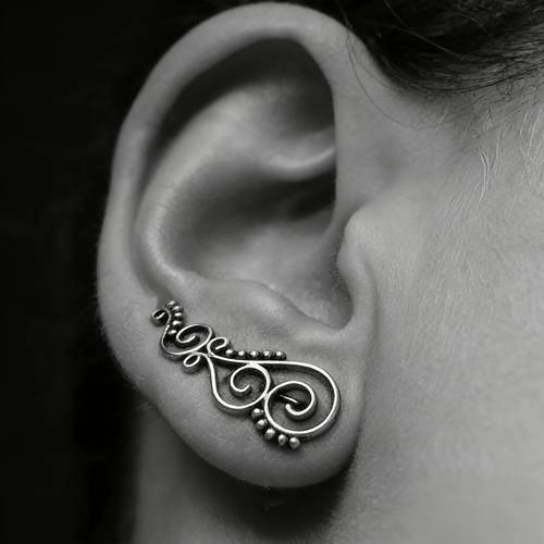 Retro Ohrringe mit Scrollmuster, französische Palast-Stile Ohrstecker, erfordern Piercings, einzigartige gewickelte Ohrbügel