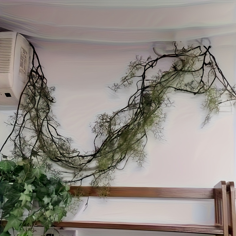 efeutute ableger kaufen Gefleckte Efeutute kaufen | Scindapsus 'Trebie' main image 0