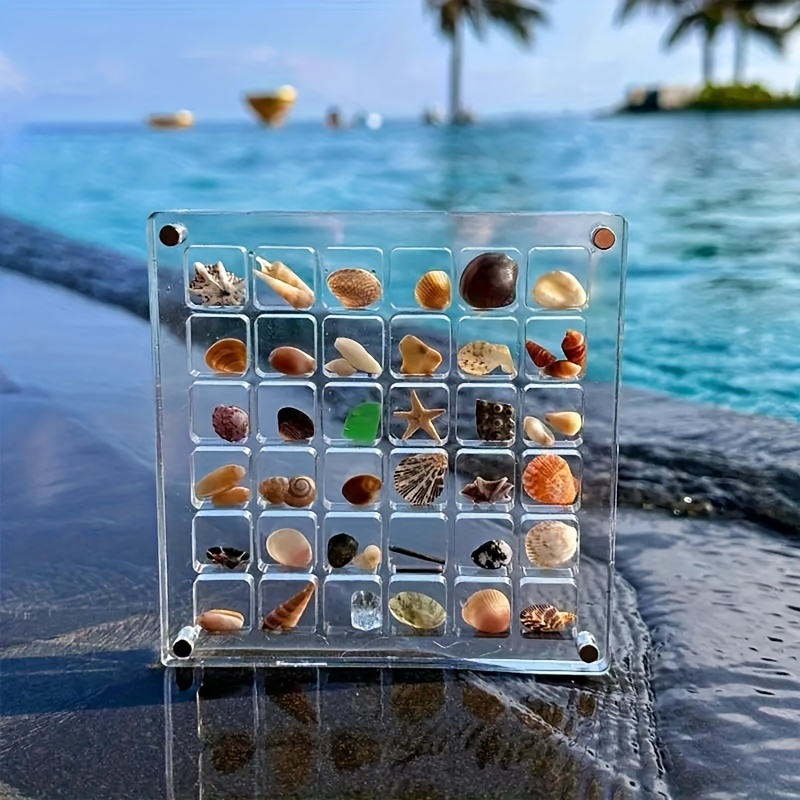 

Acrylic Magnetic Seashell Display Case - Crystal-clear 36/64/100 Grids, Decorative Storage For Starfish, Shells, Gems & Crafts - Versatile Organizer With Secure Magnetic Closure