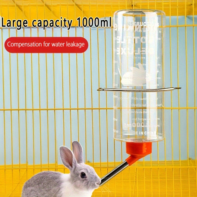 Large rabbit 2024 water bottle