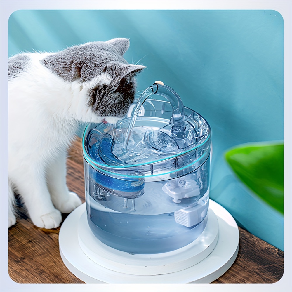 Cat Drinking Fountain Temu United States