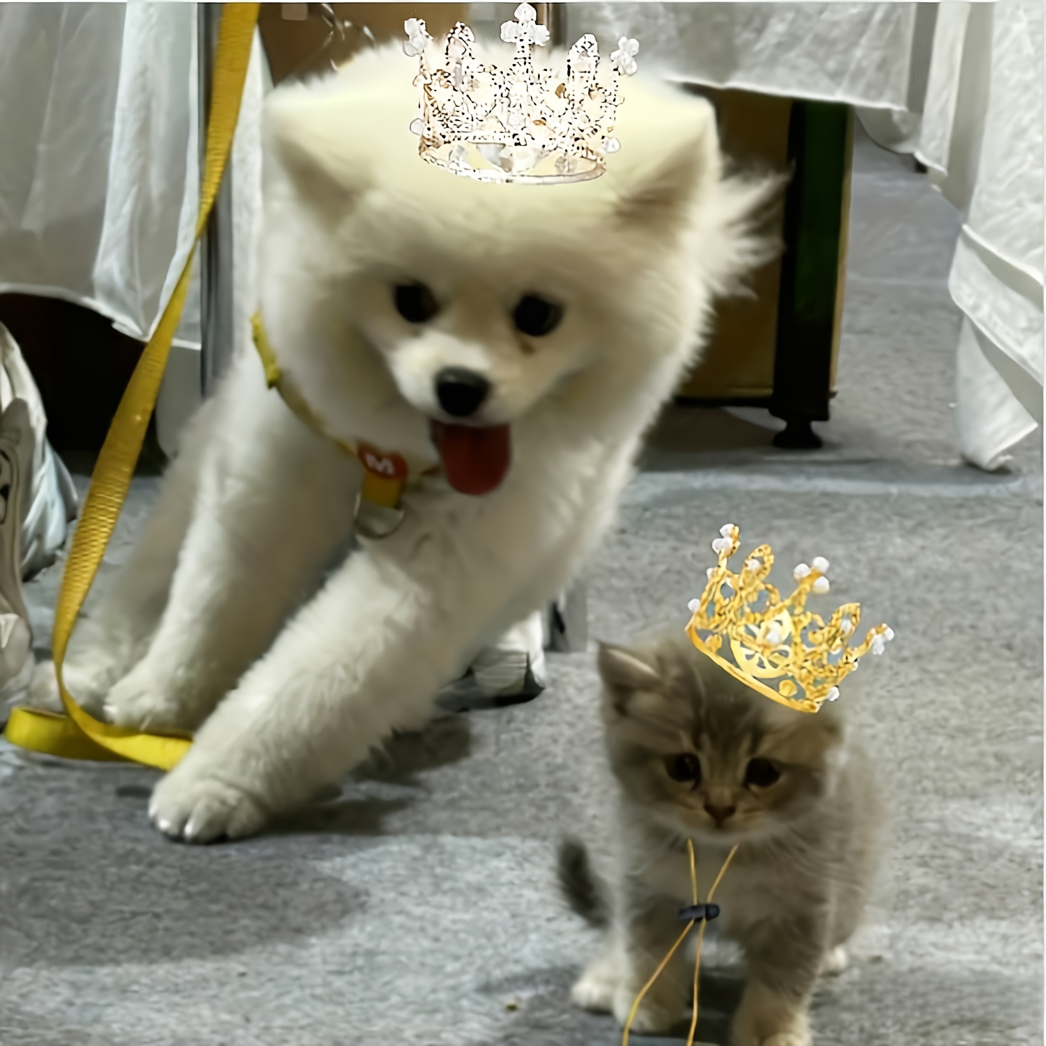 luxury for small medium sized dogs cats retro style headwear with sparkling crystal like beads durable aluminum   parties accessory elegant pet accessory Product details 3