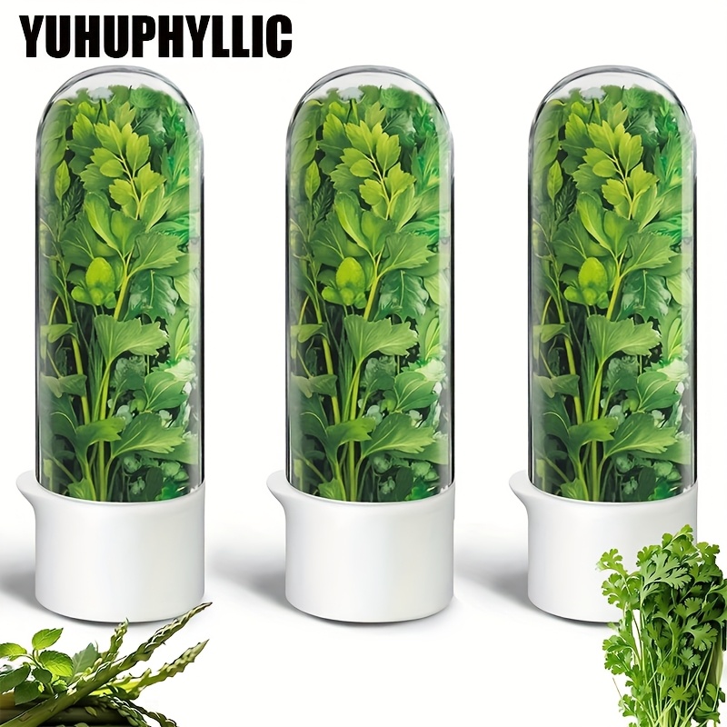 yuhuphyllic large refrigerated herb fresh keeping box - Temu