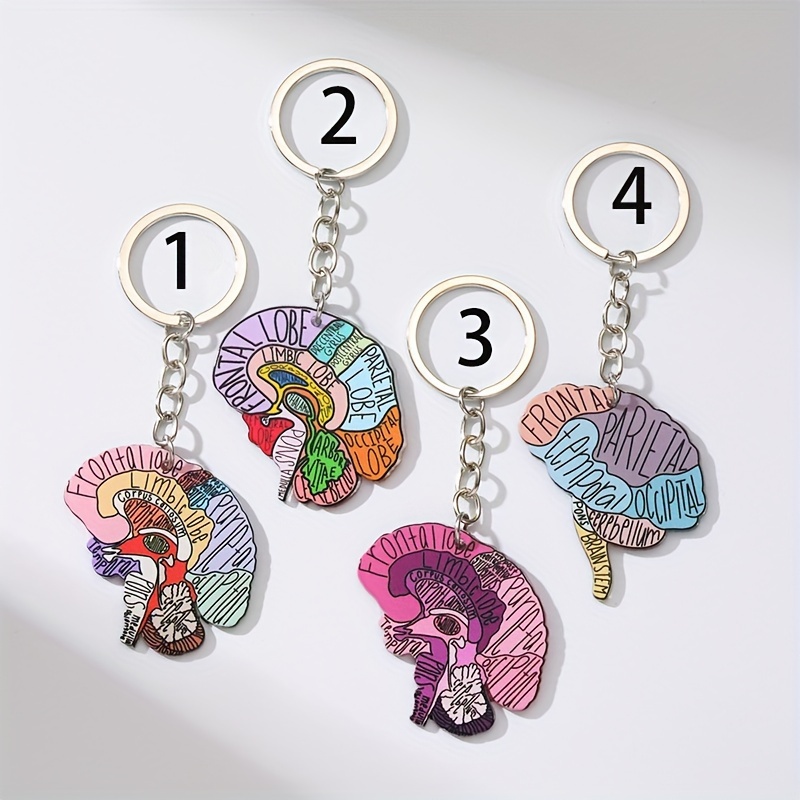 

1pc Acrylic Keychain With Alphabetical Markings, Nurse Theme Cartoon Simulation, Ladies Creative Key Ring, Decorative Purse Charm, Unique Brain Model Keyring, Birthday Gift With Ring Buckle