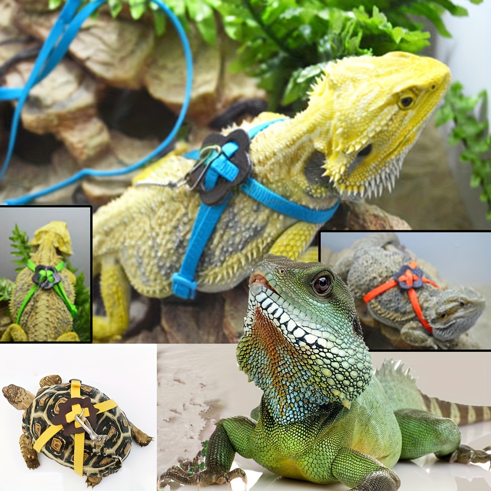 Elastic Pet Reptile Tortoise Lizard Frog Clip Feeding Tool - Temu