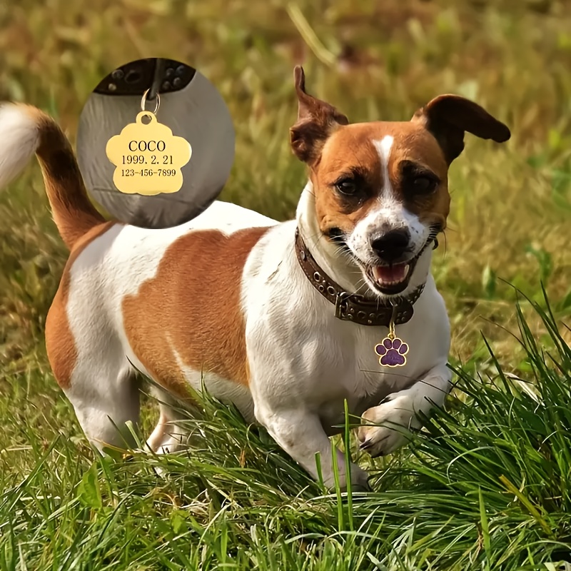 1pc, a Custom Alloy Pet ID Tag That Can Be Engraved with a Name And Phone Number to Prevent Loss, Personalized Tags for Cats And Dogs