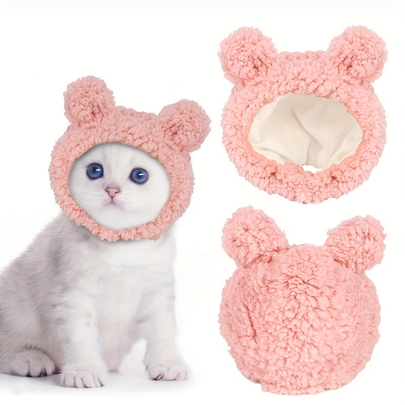 

Bear Cat , Pet And Small In -