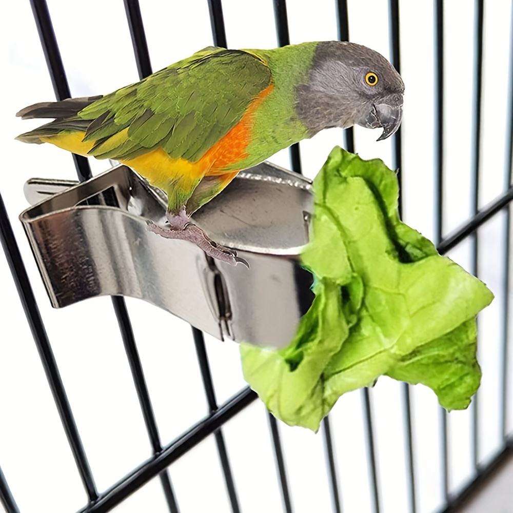 

Clip Mangeoire pour Oiseaux en Acier Inoxydable - Porte-Fruits & Légumes pour Perroquets, Accessoire de Nourriture pour Animaux Facile à Utiliser