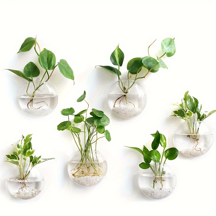 

6-pack Modern Wall Hanging Glass Planters - Transparent Hydroponic Vase Set For Home And Office Decor - Round Glass Vases With Style: Modern; Material: Glass; Vase Shape: Round