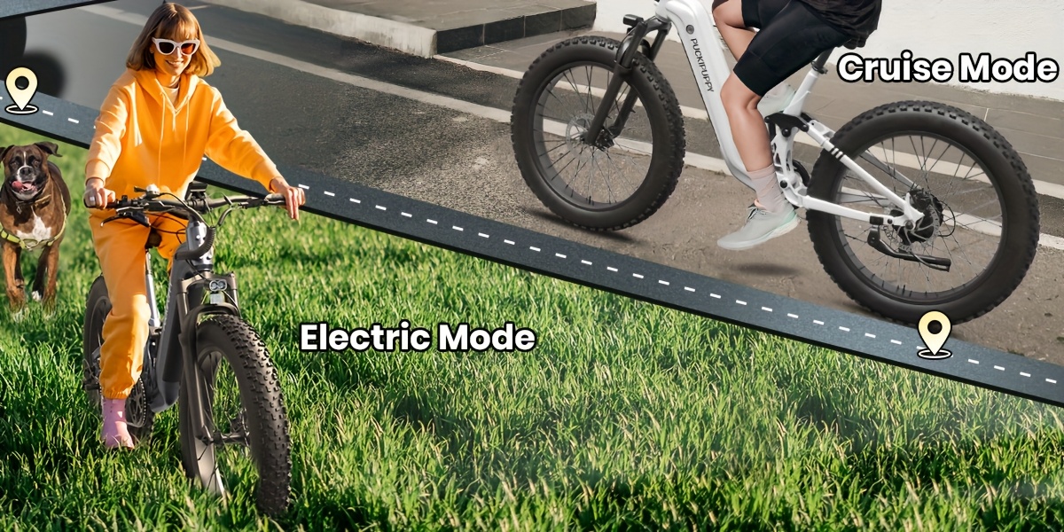 electric bike for adults rear   brushless motor, 48v 20ah battery adult electric bicycles, 26 tire full suspension   ebike,  , 80miles range, camping must haves, suitable for outdoor off-road and urban commuting(boxerst) Product details 8