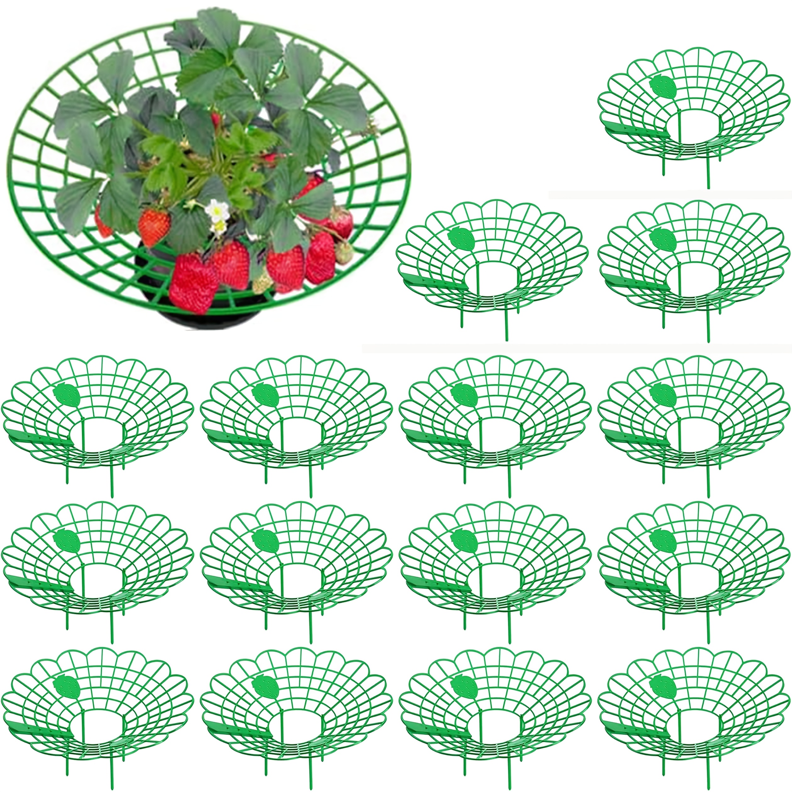 

This Set Of 15 Strawberry Plant Supports Features Sturdy Legs And Is With A Strawberry Design, Providing Protection Against Mold, Rot, And Dirt For Growing Strawberries.