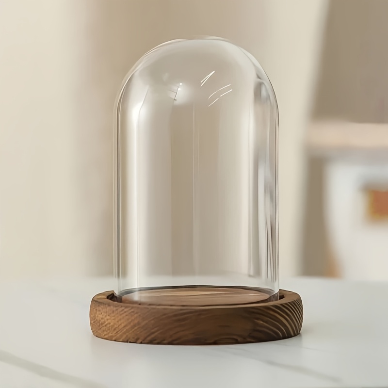 TEMU Transparent Pet Plastic Cylindrical Cover With Wooden Base, Craft Handmade Miniature Model Decorative Jar With Base, Figure Collectible Storage