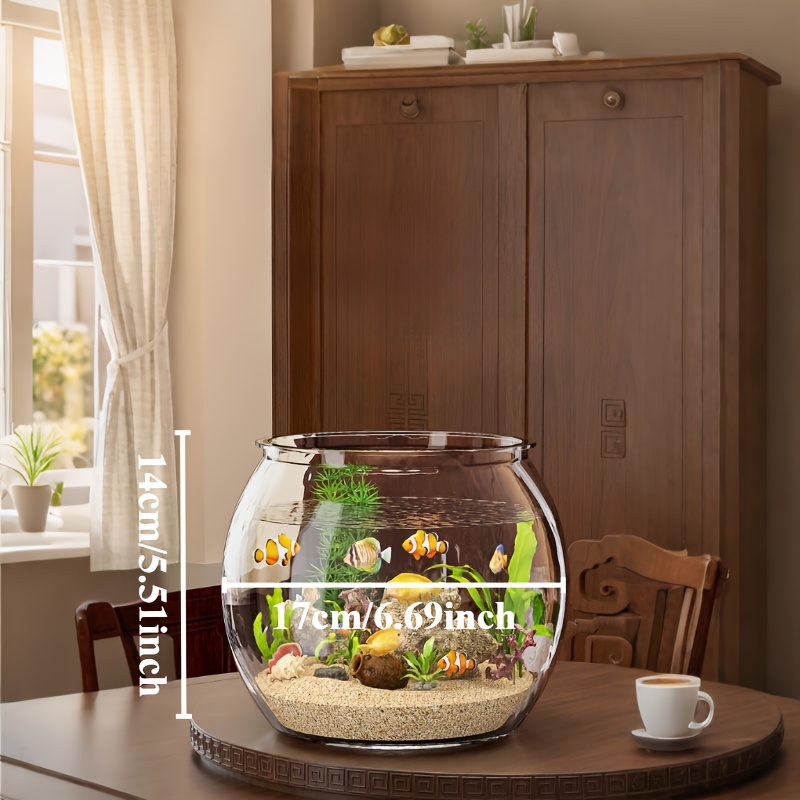 SG Mini-Aquarium Aus Glas – Rund, 12 Cm Durchmesser, Für Fische, Pflanzen Oder Deko