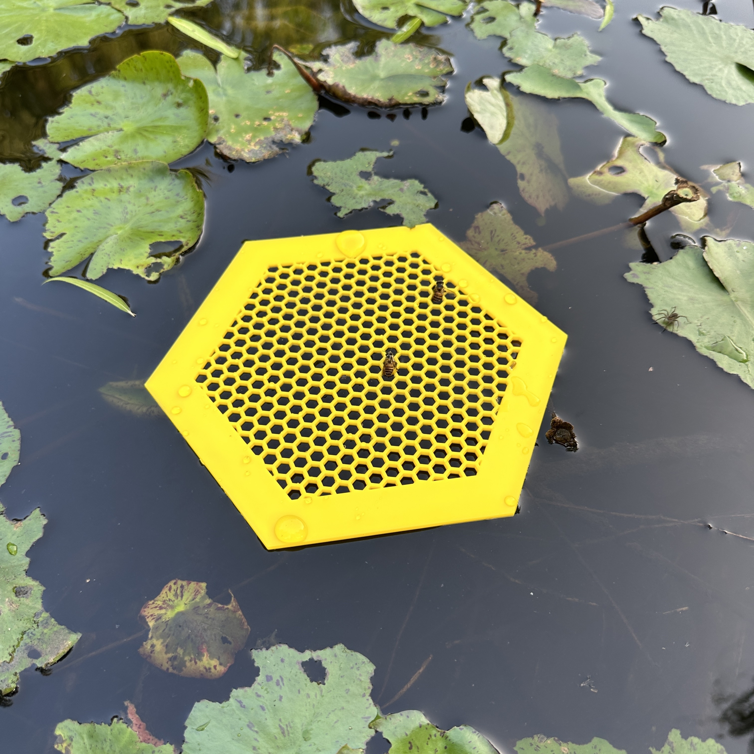 1pc/2pcs/4pcs/8pcs Printed Floating Bee Island, Bee Waterer
