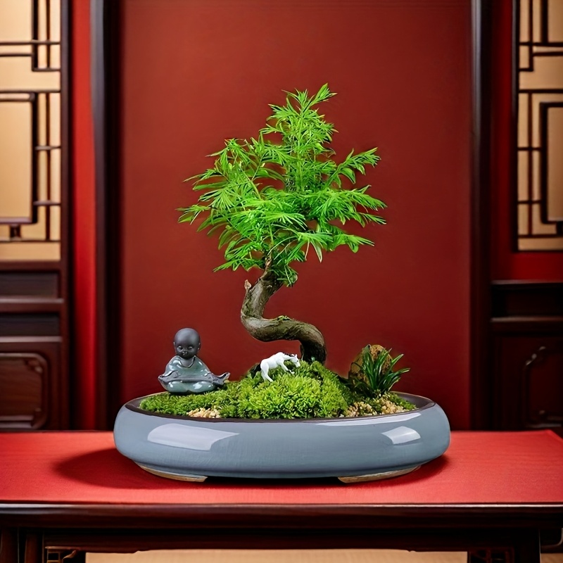 fibreclay blumenkasten Lnglicher rechteckiger Premium Fiberglas Blumenksten online kaufen   modern, leicht & wetterfest