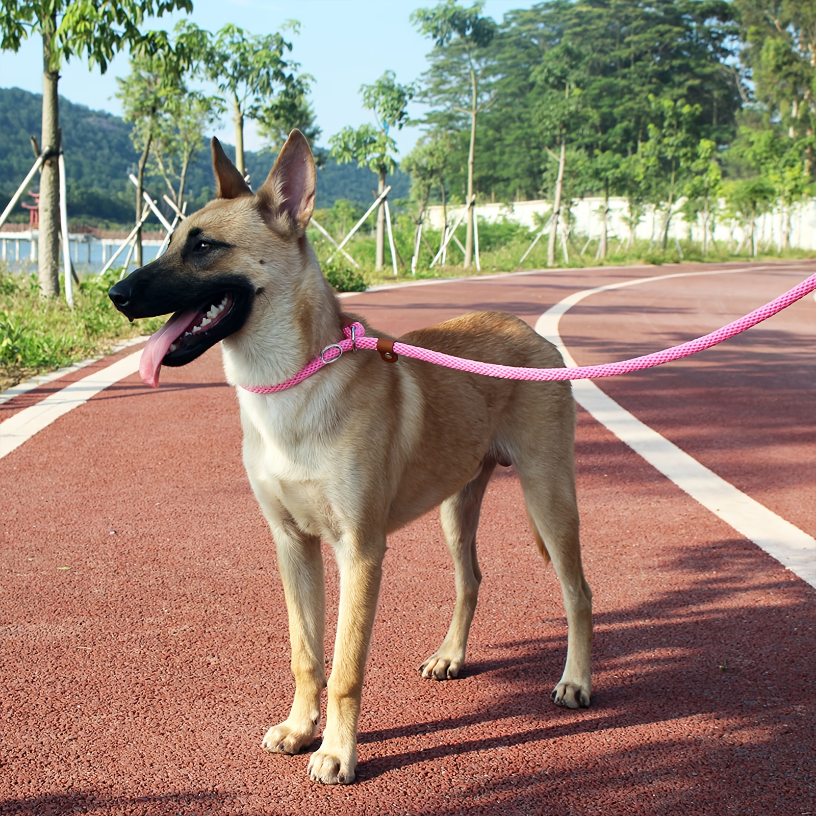 No Pull Slip Lead Dog Leash for All Breeds
