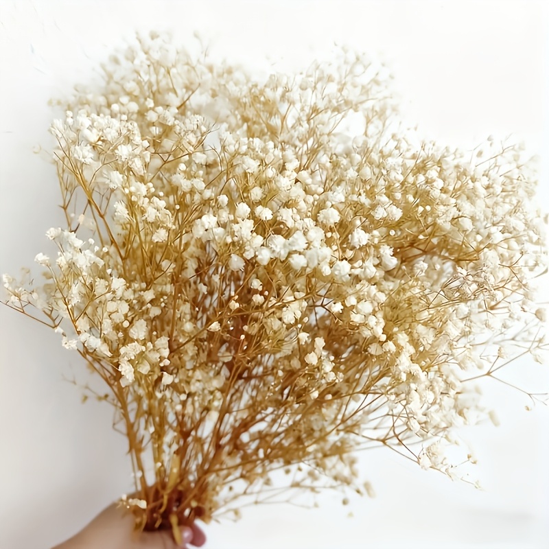 Image of 7pcs Beige Dried Pampas Grass Bouquet | No Maintenance Required, Ideal For Wedding, Home Office, Mother's Day, Party Decor, Natural Flowers, Elegant Arrangement Beige Starry Sky Decoration