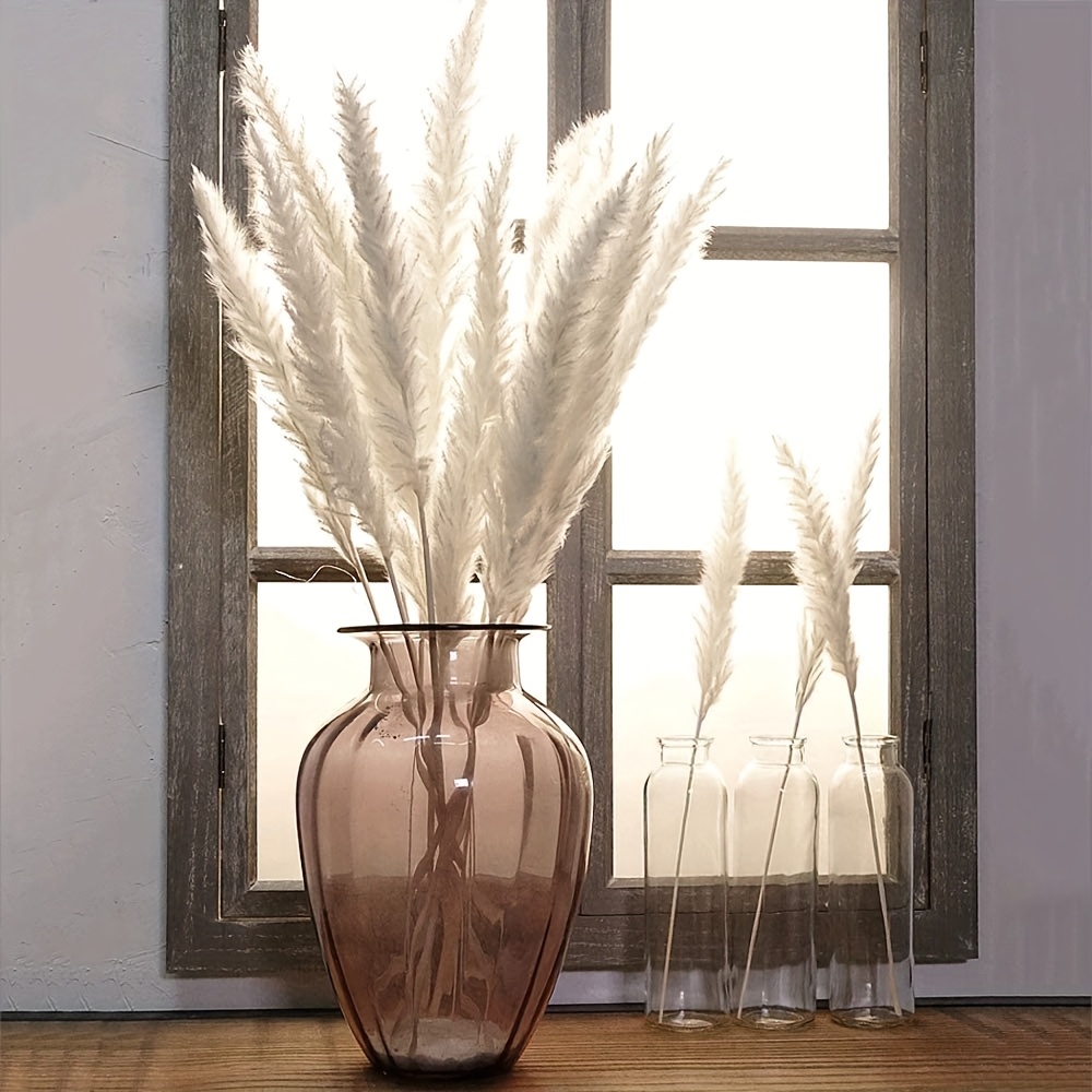 E-shop 60 Stück Natürliches Getrocknetes Weißes Pampasgras Boho Deko Strauß Phragmites Trockenblumen Strauß für Hochzeitsfloristik Wohnaccessoires