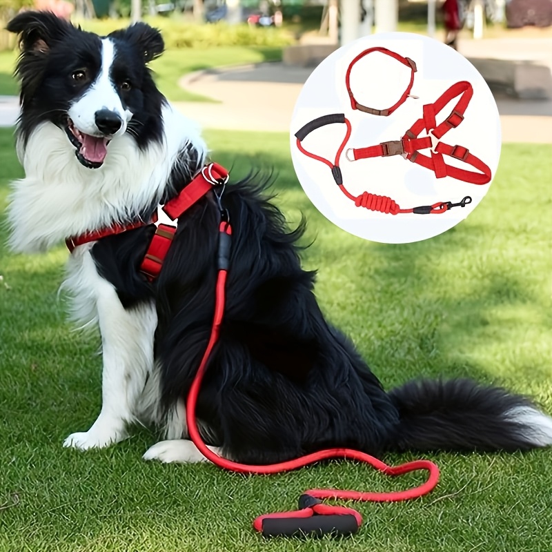 Dog Neck Harness Comfort Dog Harness Wild One