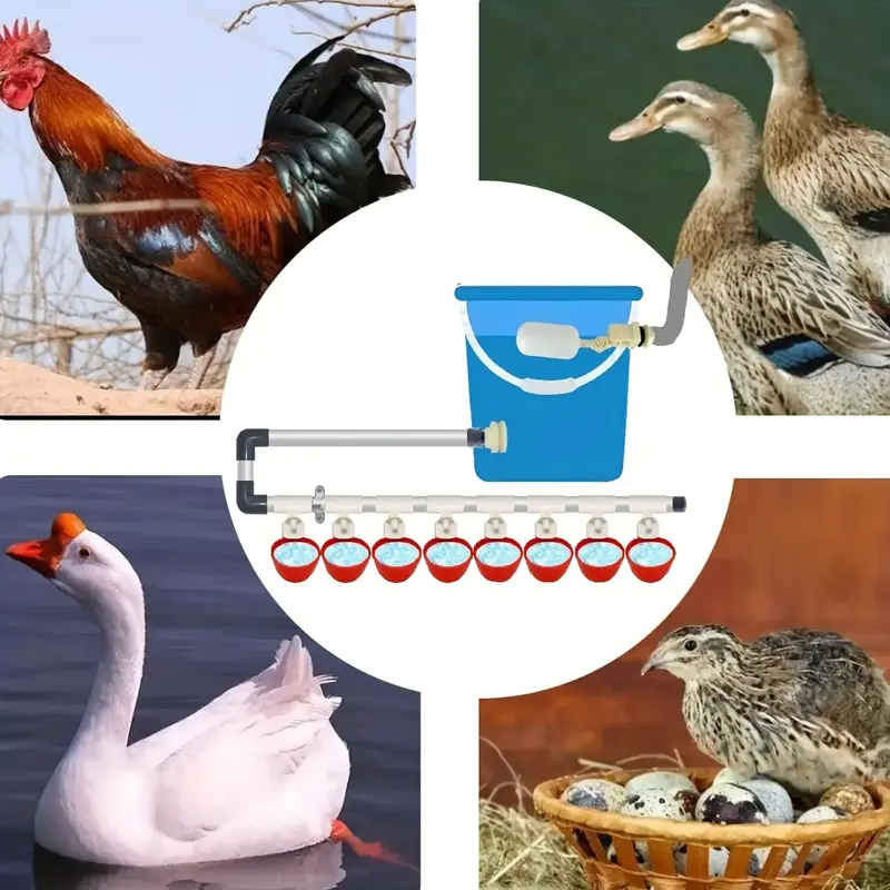 30 Bebederos Automáticos For Aves, Gallinas, Codornices 30 Bebederos Automáticos For Aves, Gallinas, Codornices